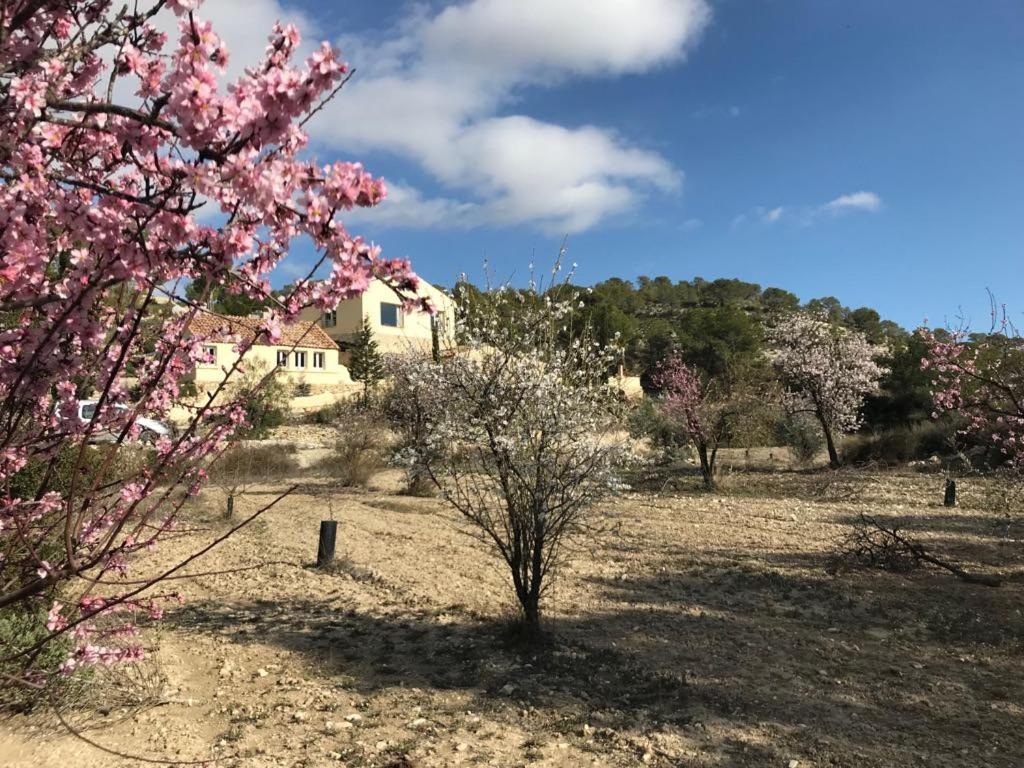 Finca Las Estrellas Relleu Екстериор снимка