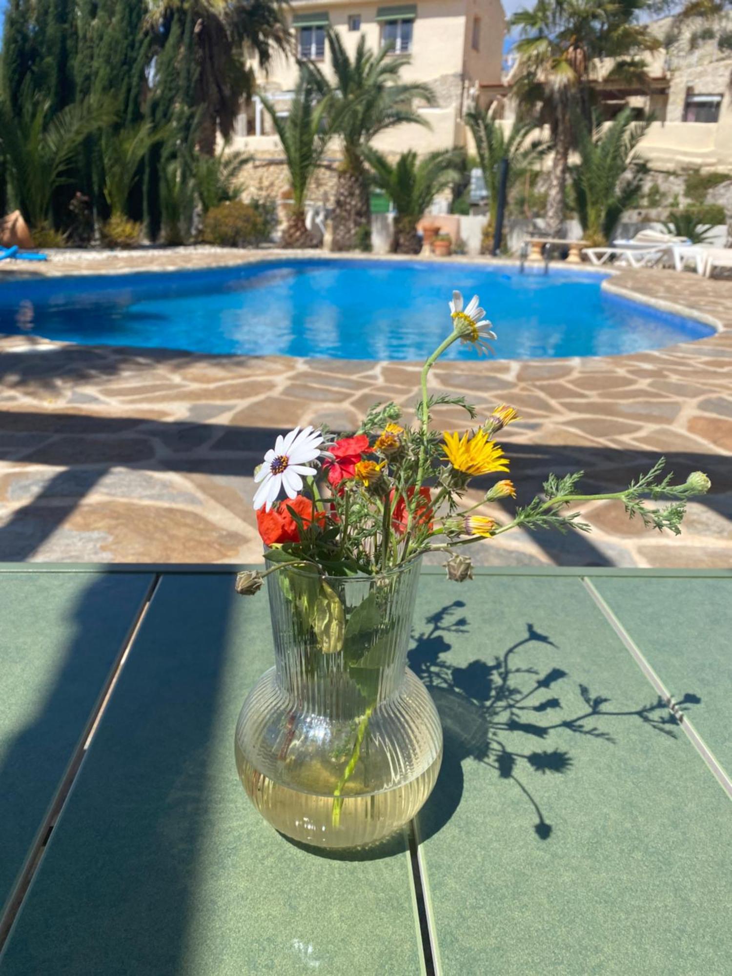 Finca Las Estrellas Relleu Екстериор снимка